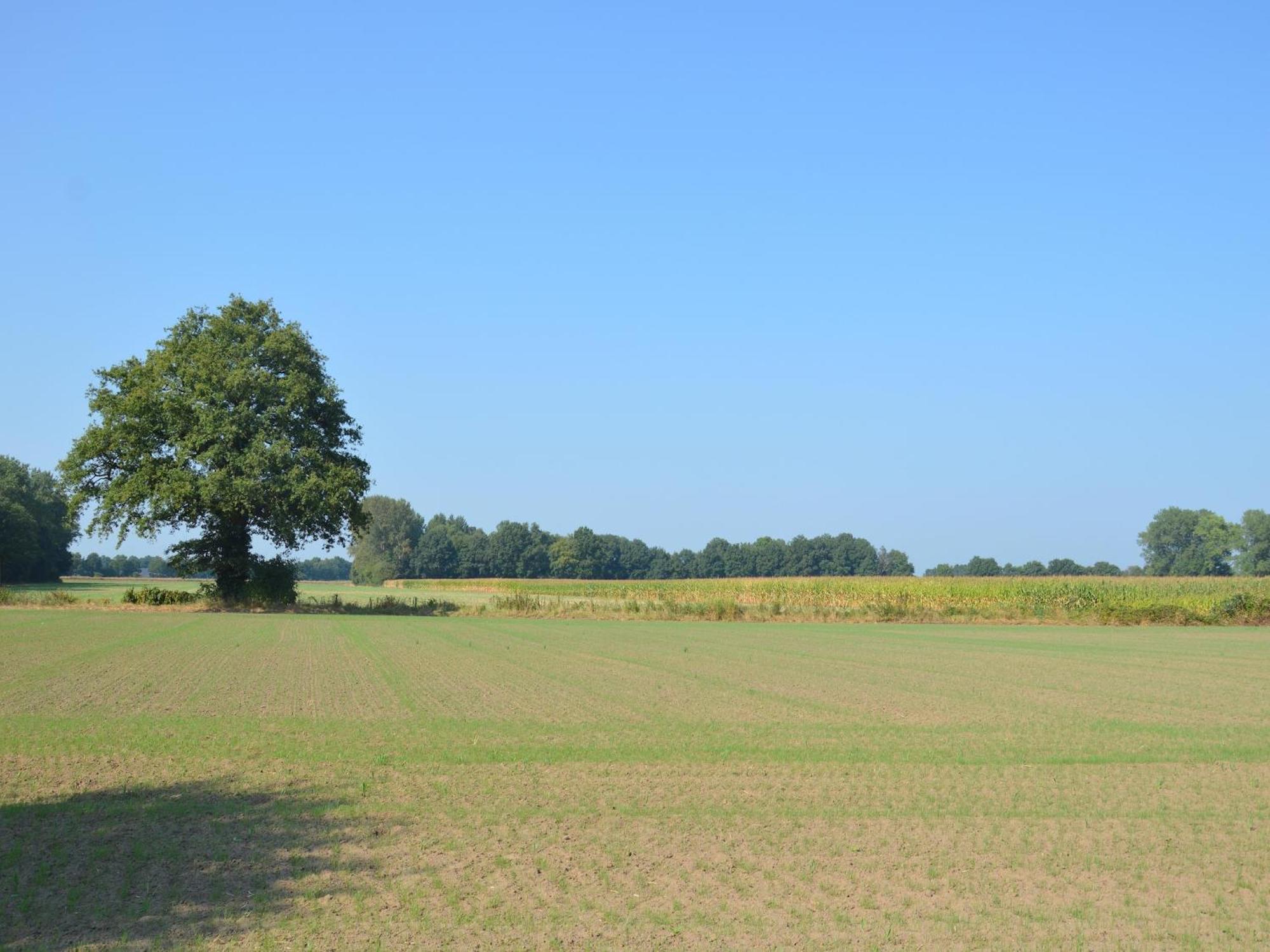 Quaint Farmhouse In Geesteren With Meadow View Esterno foto
