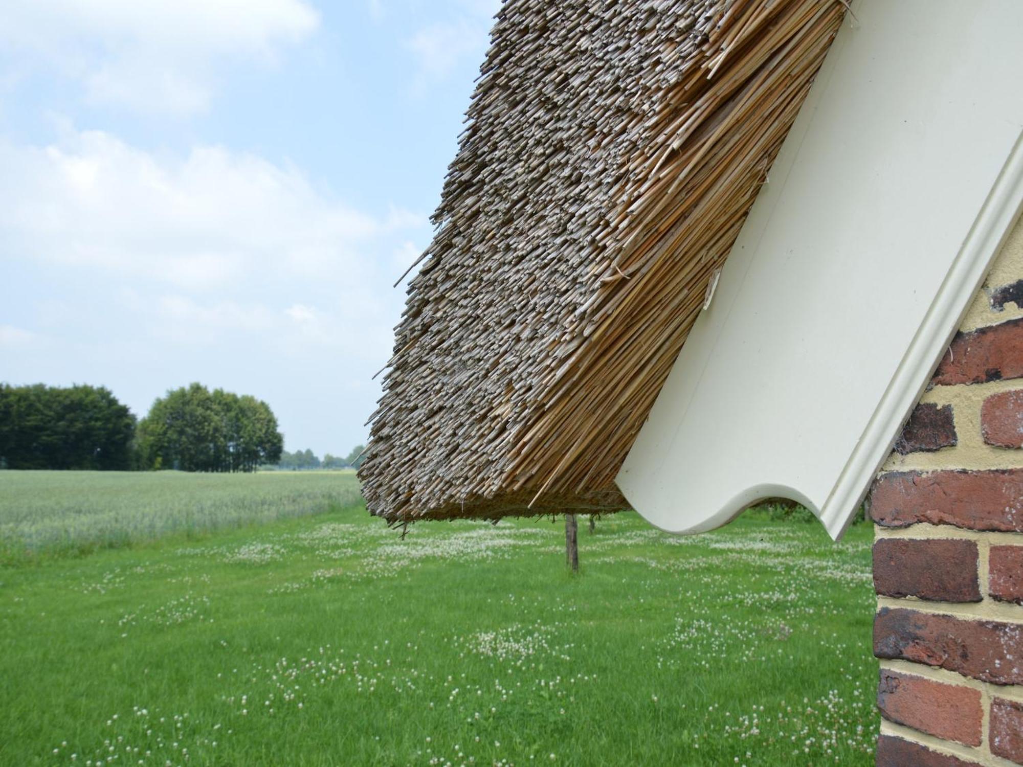 Quaint Farmhouse In Geesteren With Meadow View Esterno foto